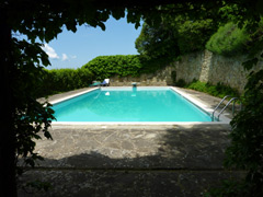 Courtyard Pool